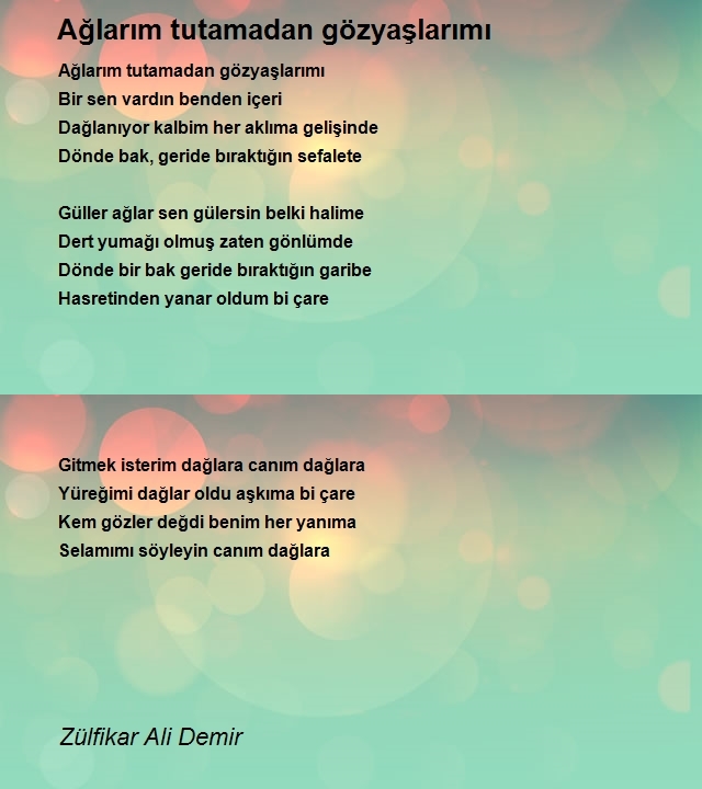 Zülfikar Ali Demir