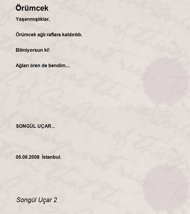 Songül Uçar 2