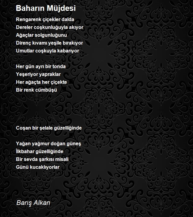 Barış Alkan