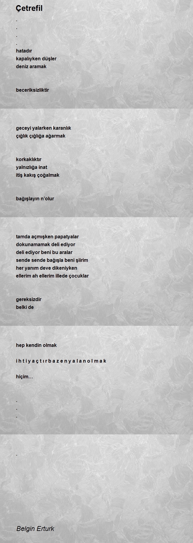 Belgin Erturk