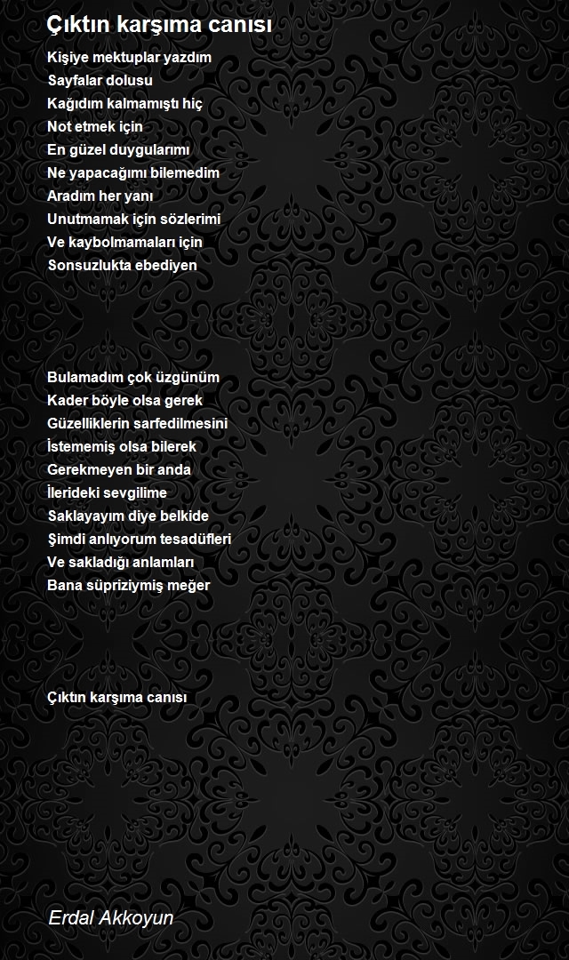Erdal Akkoyun