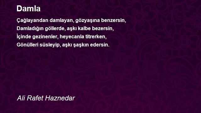 Ali Rafet Haznedar