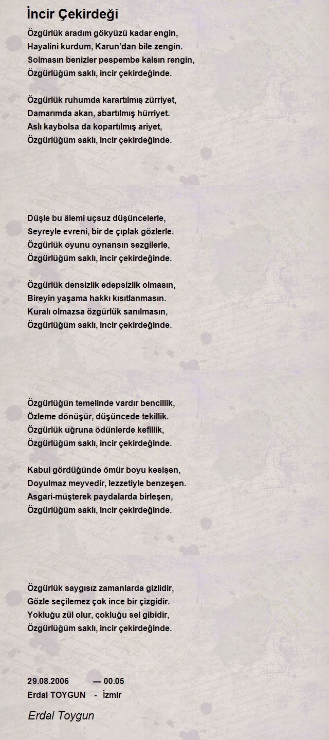 Erdal Toygun