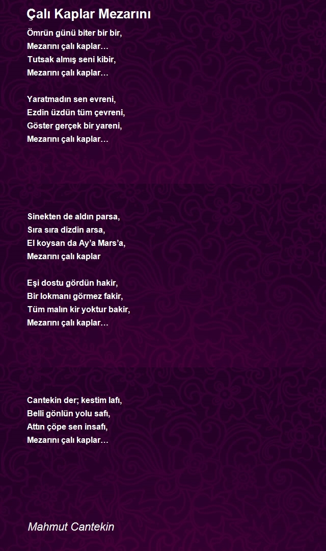 Mahmut Cantekin