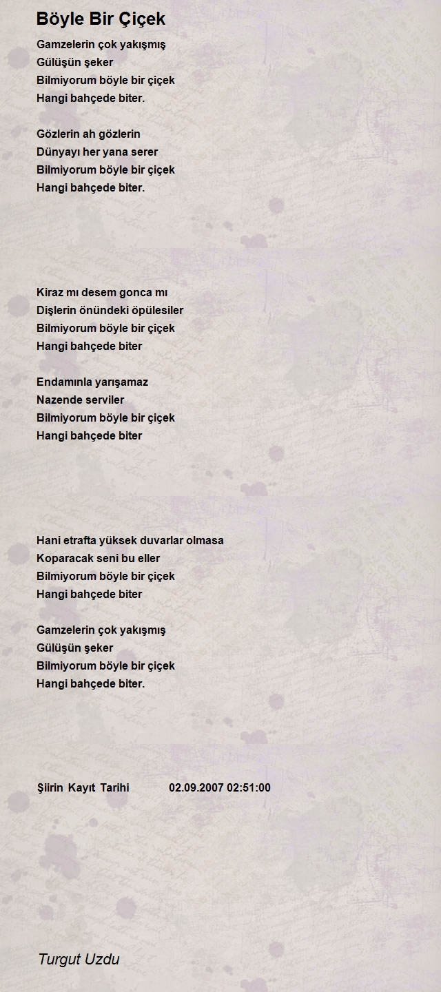 Turgut Uzdu