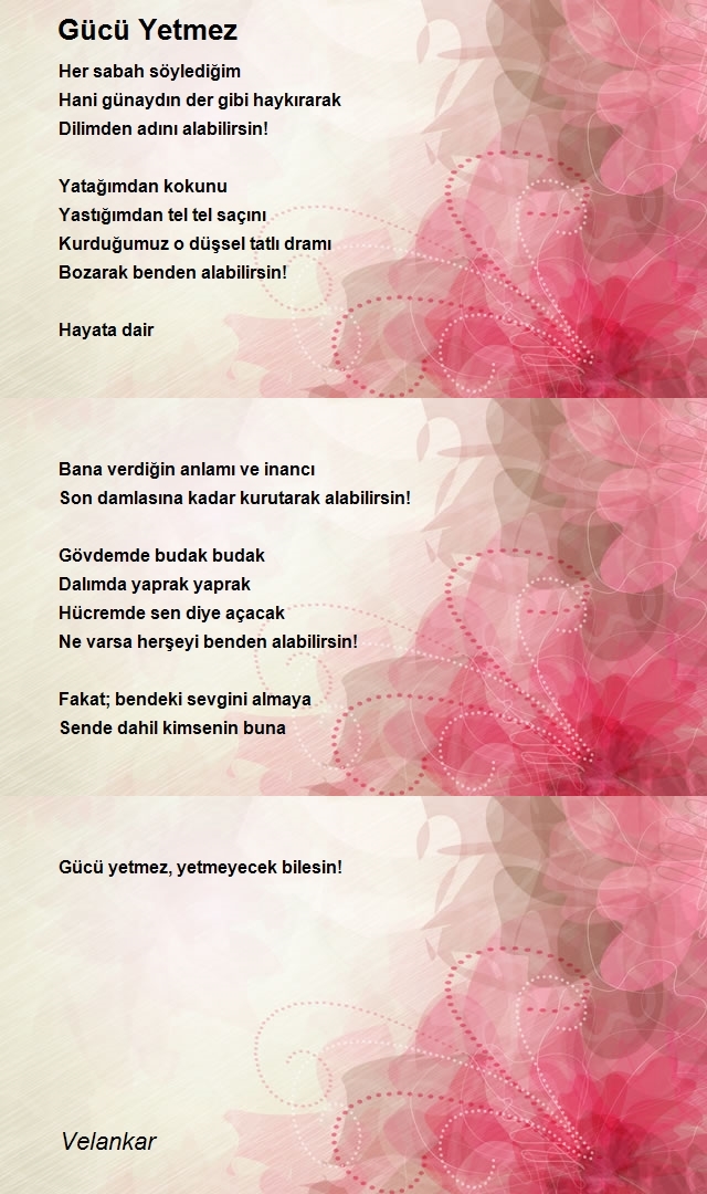 Şair Velankar
