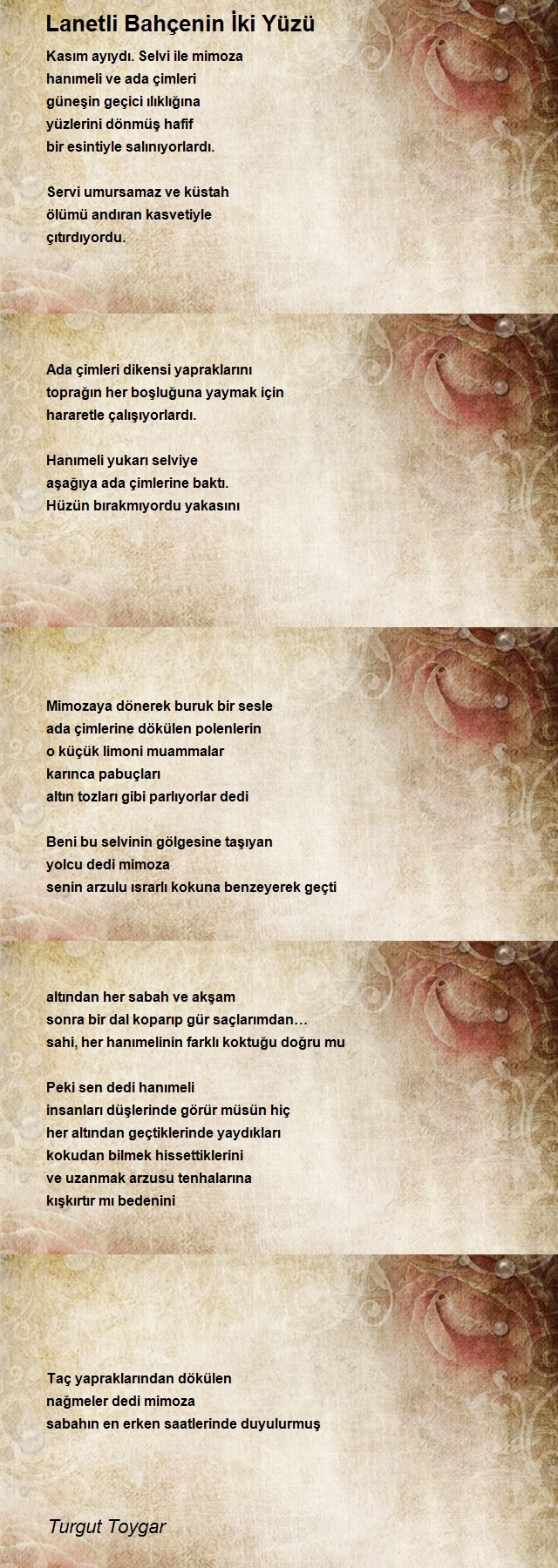 Turgut Toygar