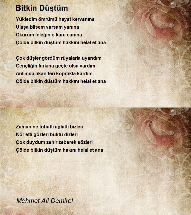 Mehmet Ali Demirel