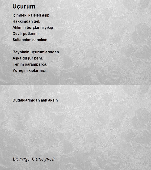 Dervişe Güneyyeli