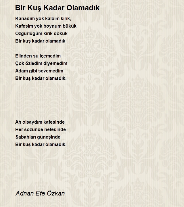 Adnan Efe Özkan