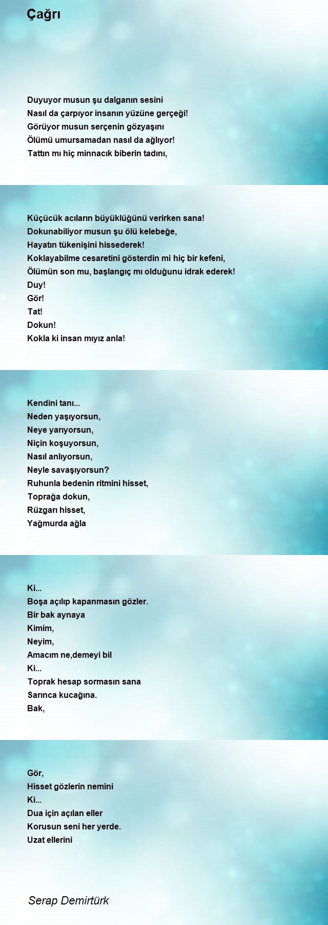 Serap Demirtürk