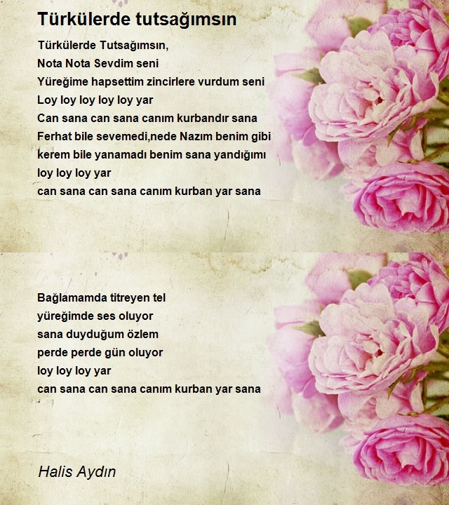 Halis Aydın