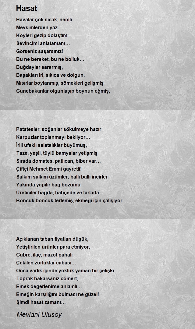 Mevlani Ulusoy