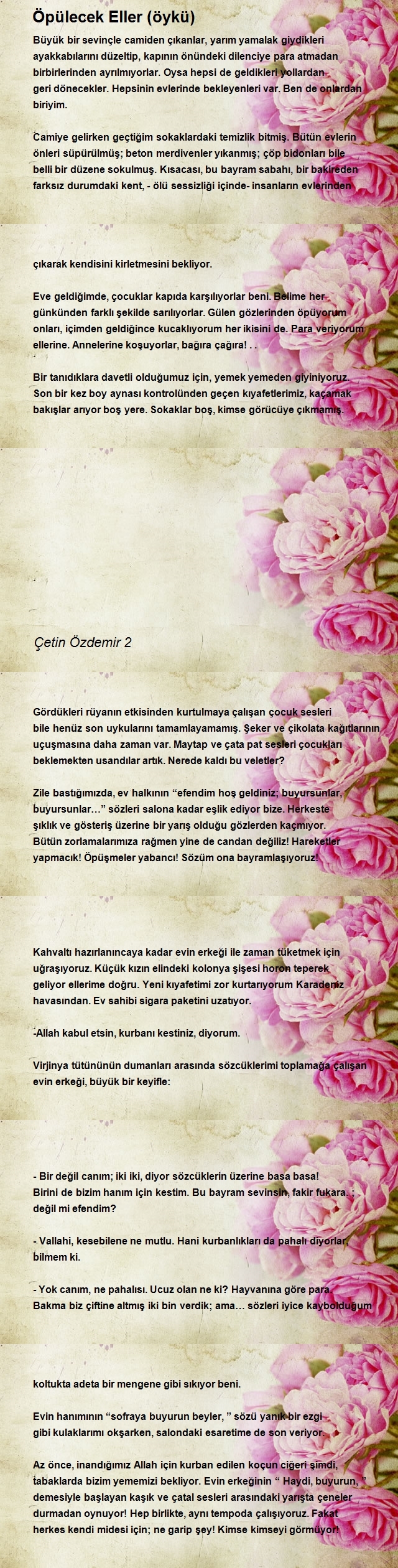 Çetin Özdemir 2