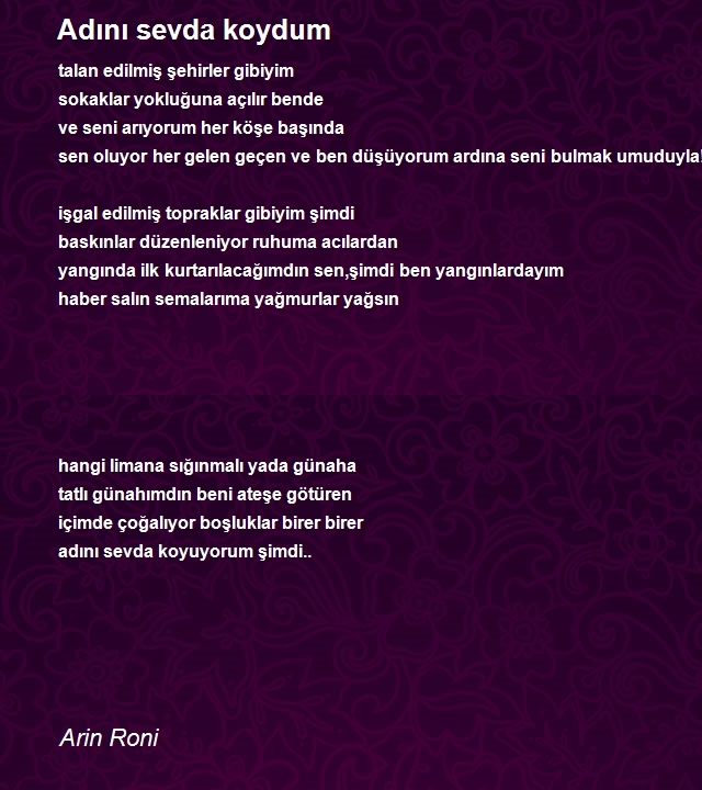 Arin Roni