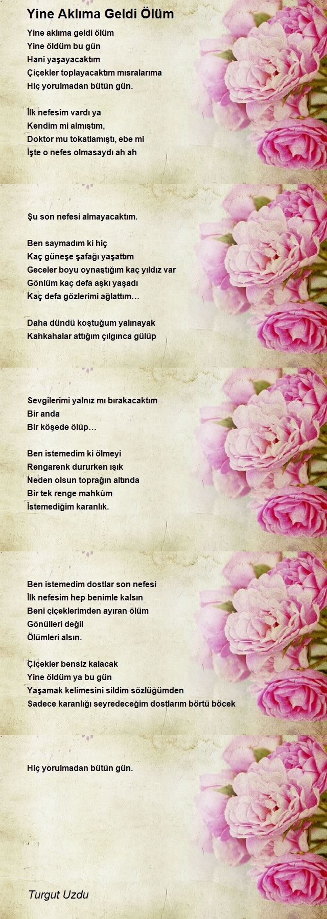 Turgut Uzdu