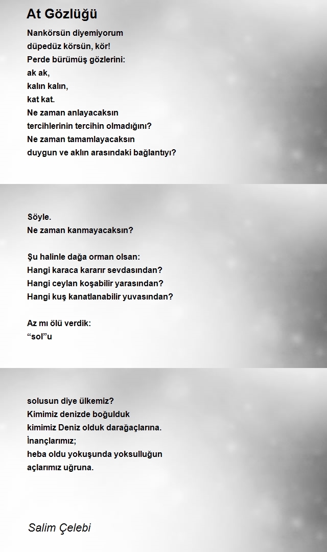 Salim Çelebi
