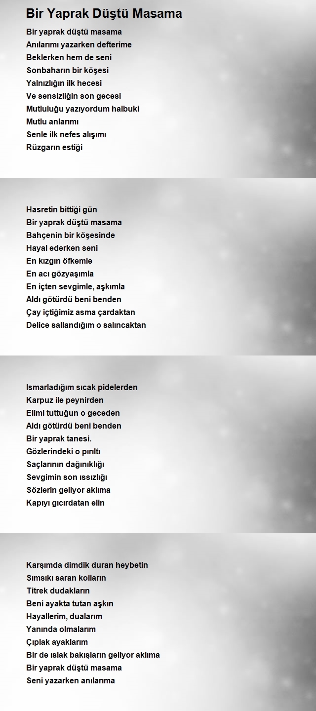 Bilge Erol