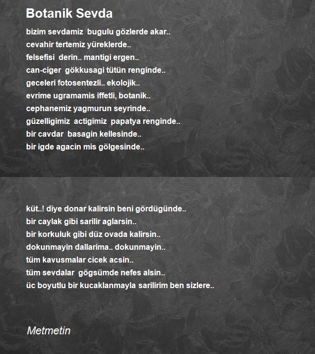 Şair Metmetin