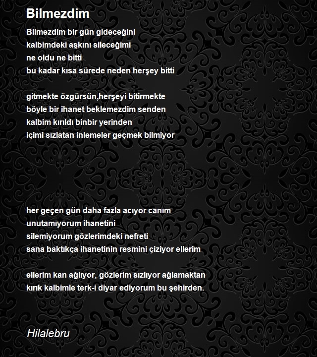 Şair Hilalebru