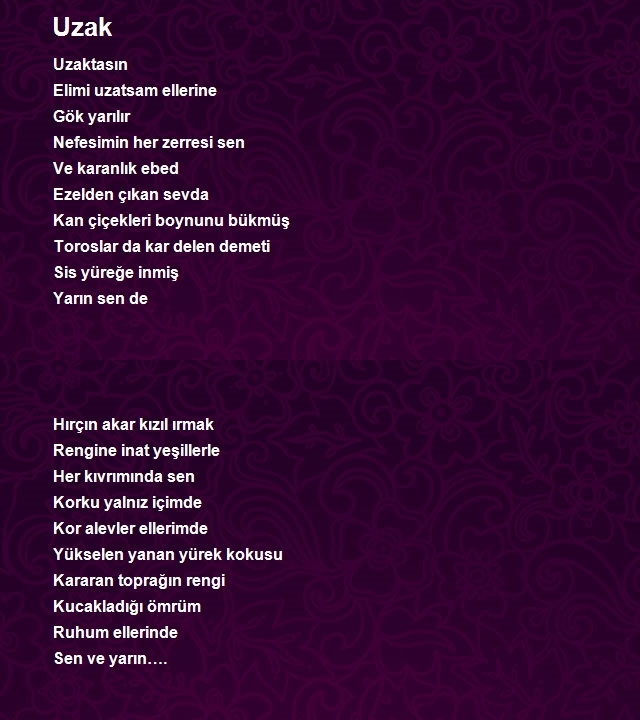 Özgür Yılmaz 2