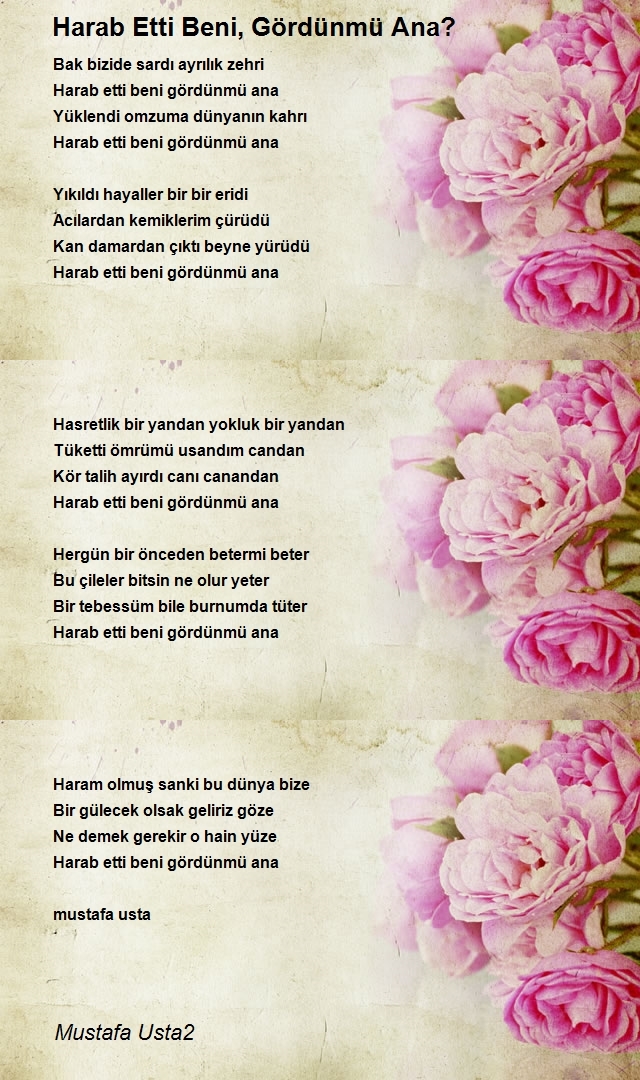 Mustafa Usta2