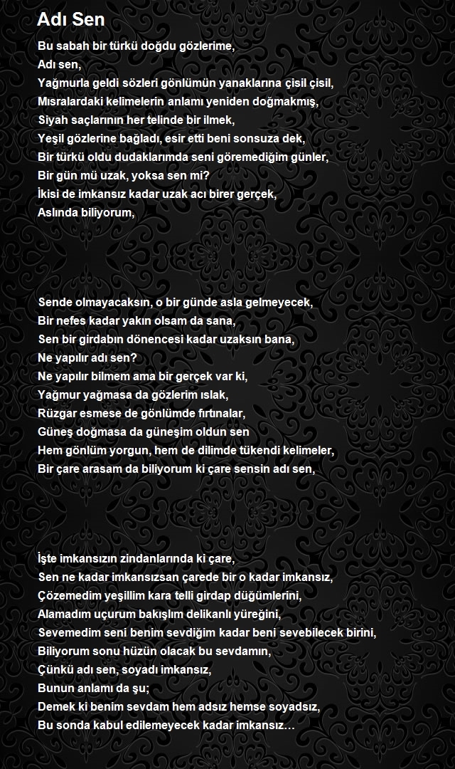 Şerafettin Türk