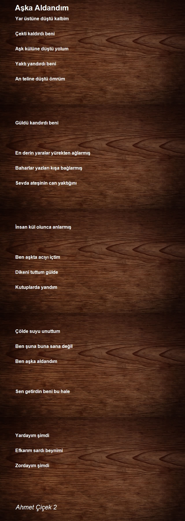 Ahmet Çiçek 2