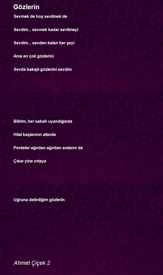 Ahmet Çiçek 2