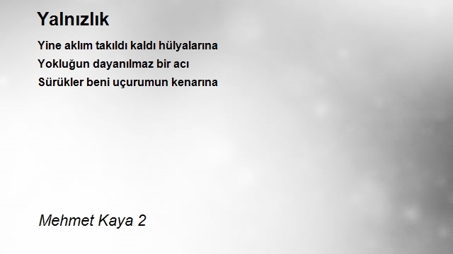 Mehmet Kaya 2