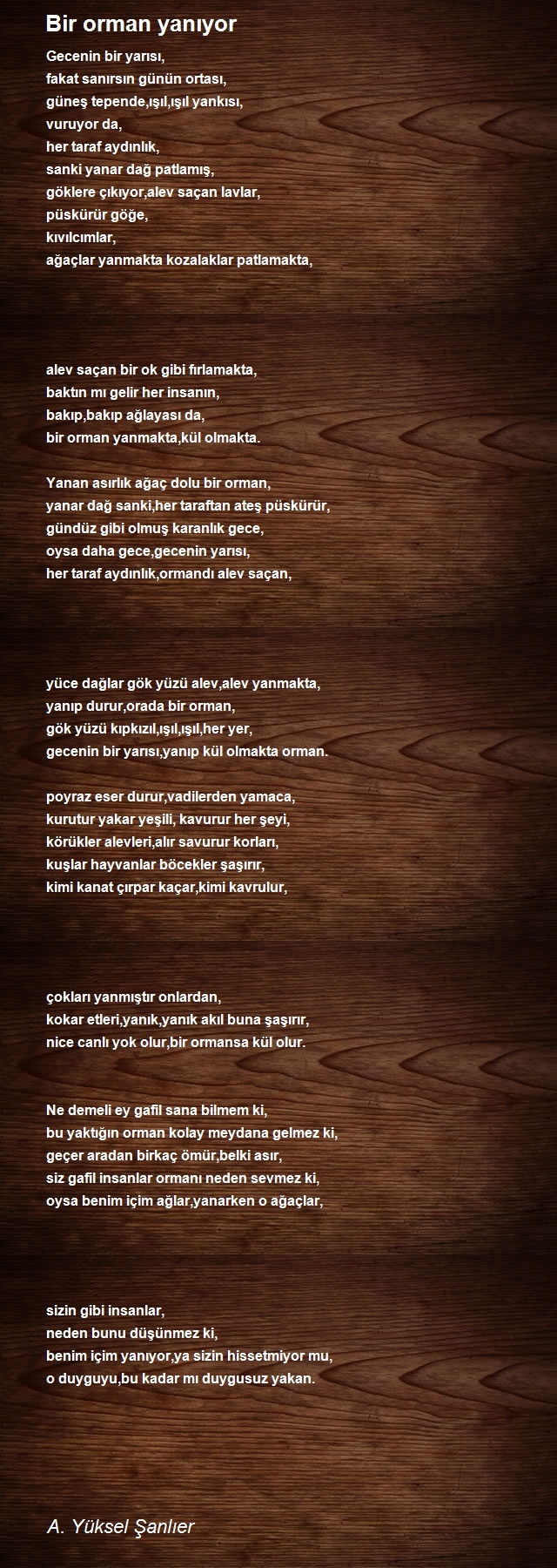 A. Yüksel Şanlıer