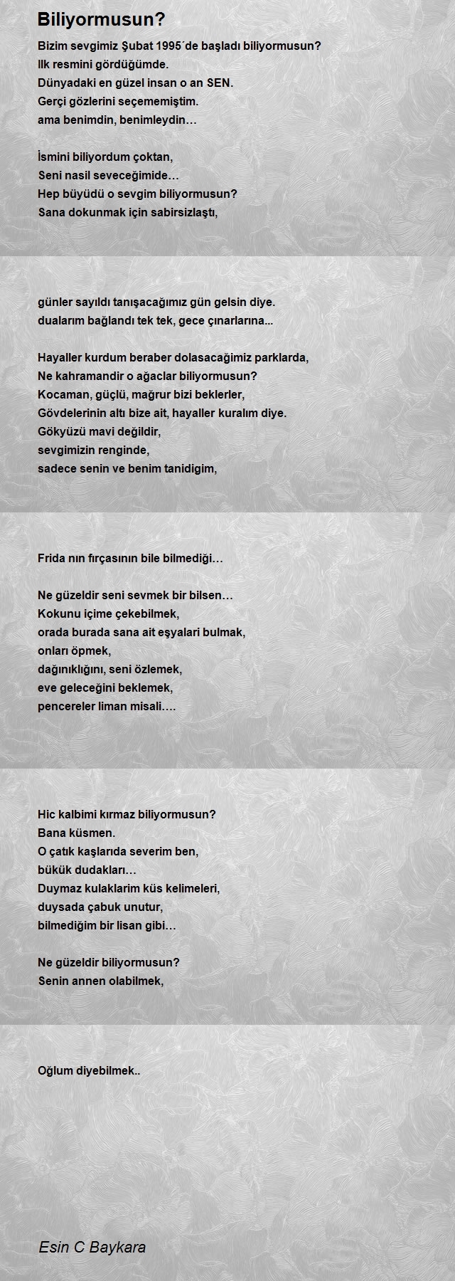 Esin C Baykara