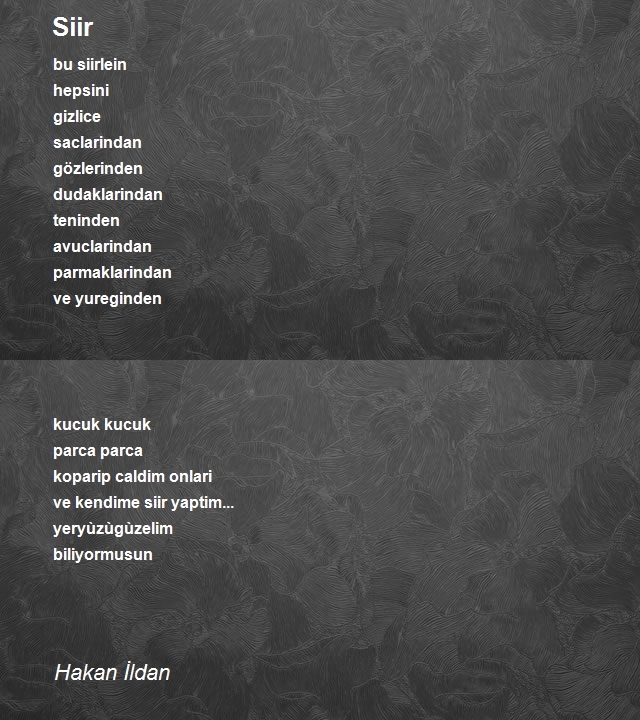Hakan İldan