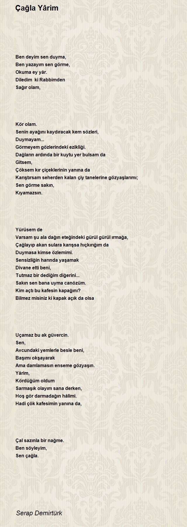 Serap Demirtürk