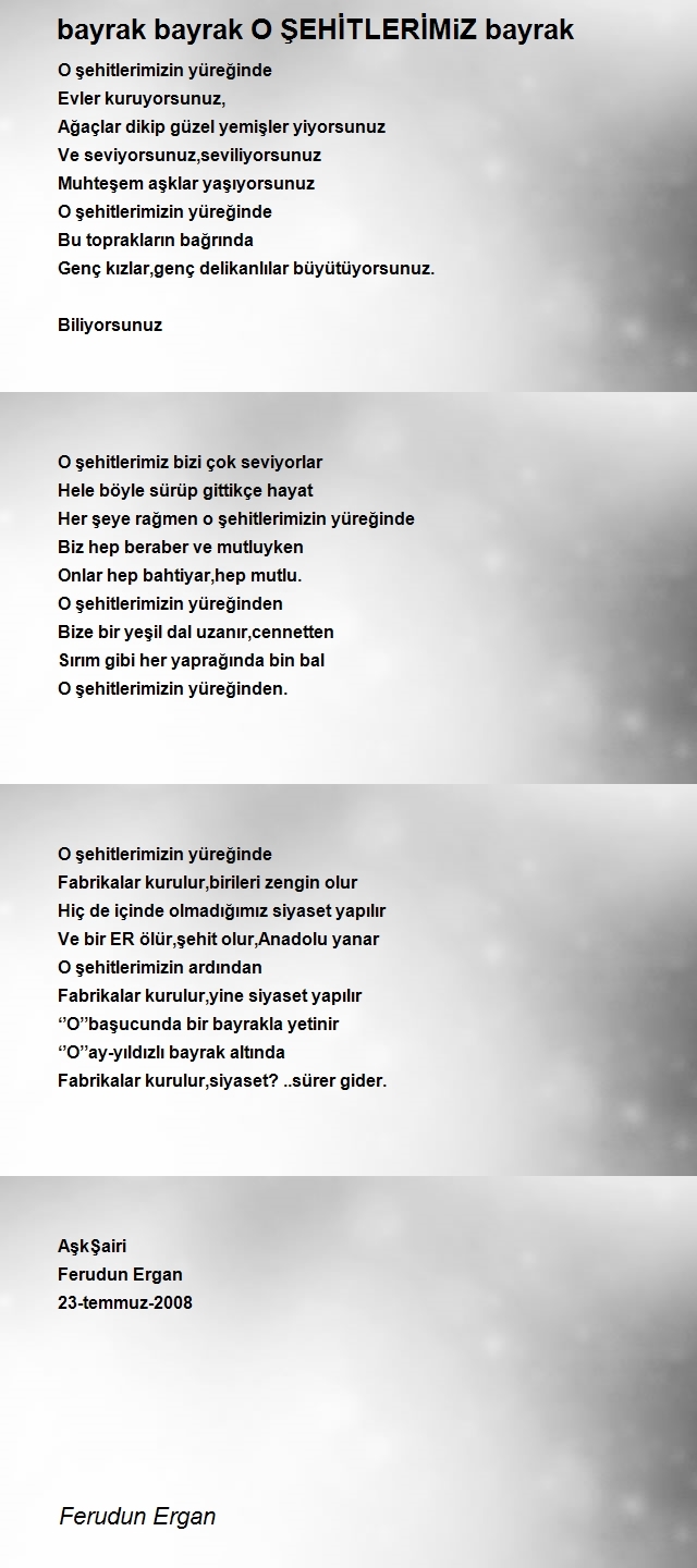 Ferudun Ergan