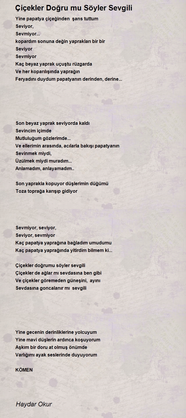 Haydar Okur