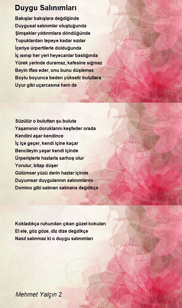 Mehmet Yalçın 2