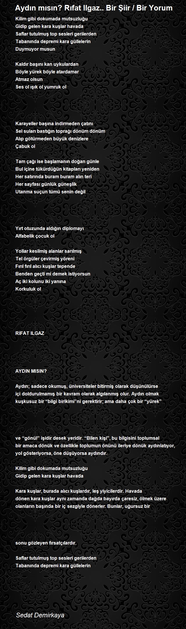 Sedat Demirkaya