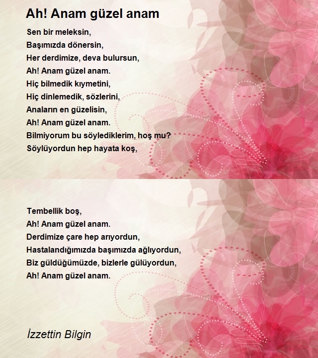 İzzettin Bilgin