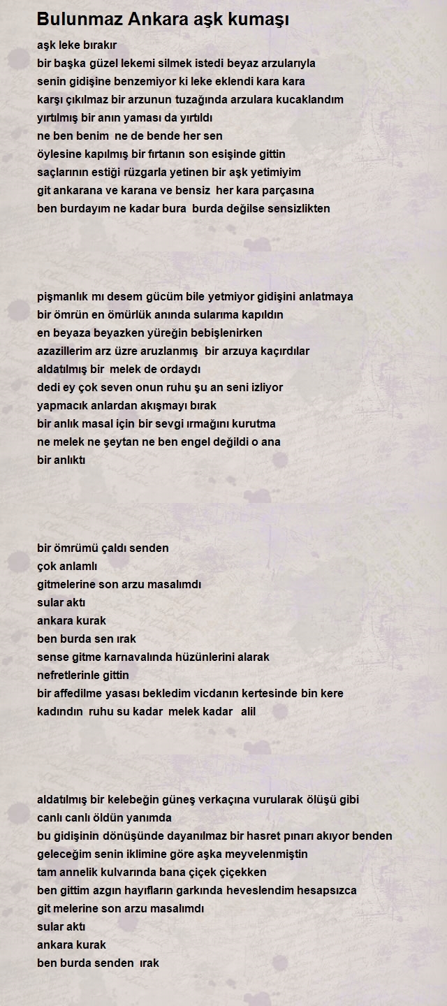 Hayrettin Taylan