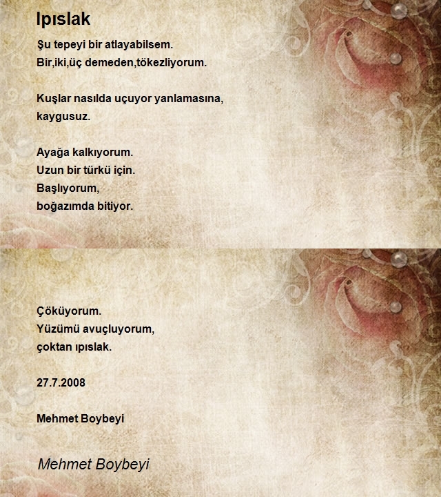 Mehmet Boybeyi
