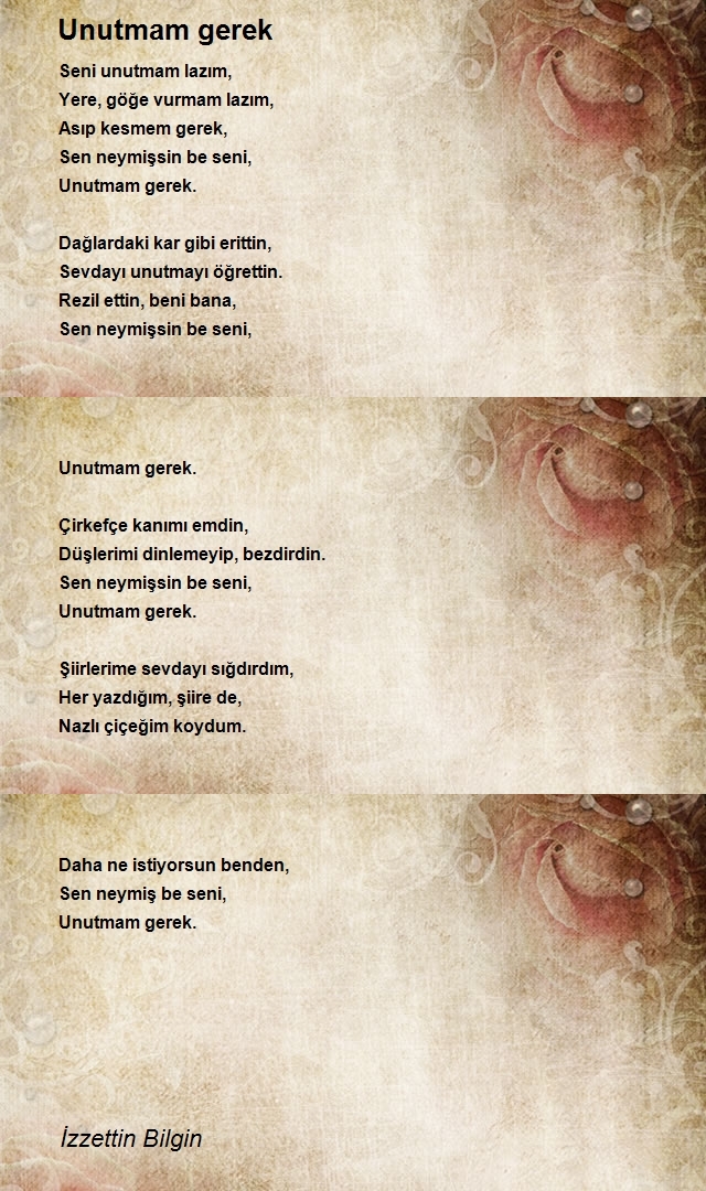 İzzettin Bilgin
