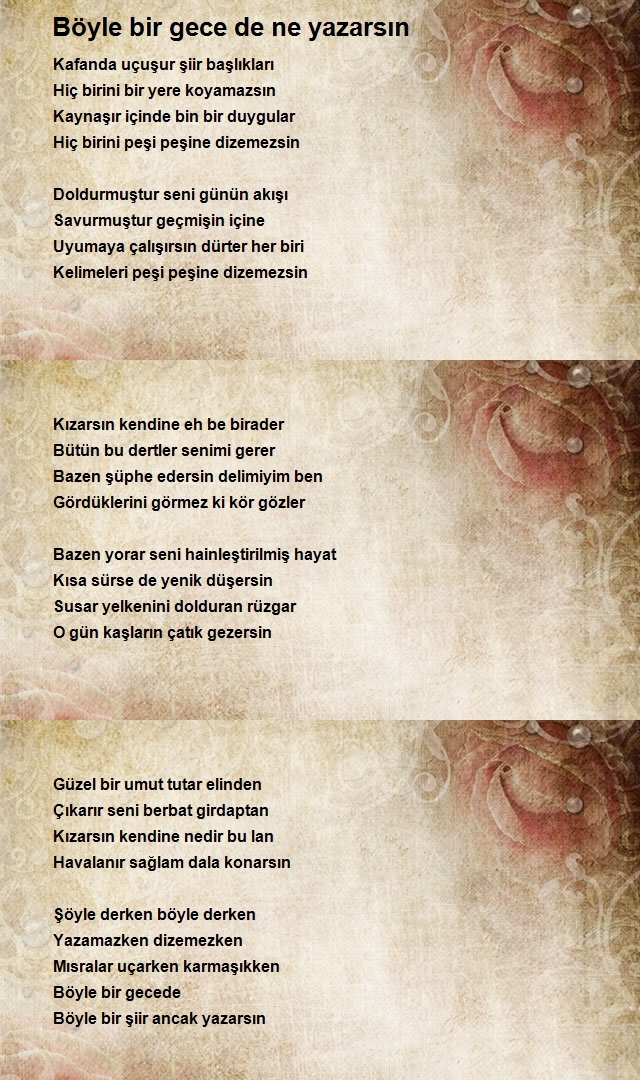 Zülfükar Şahin