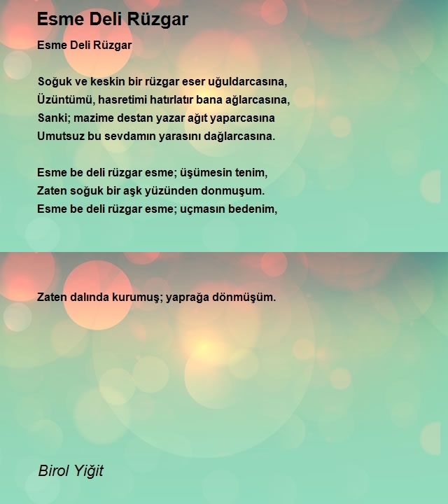Birol Yiğit