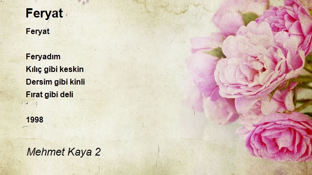 Mehmet Kaya 2