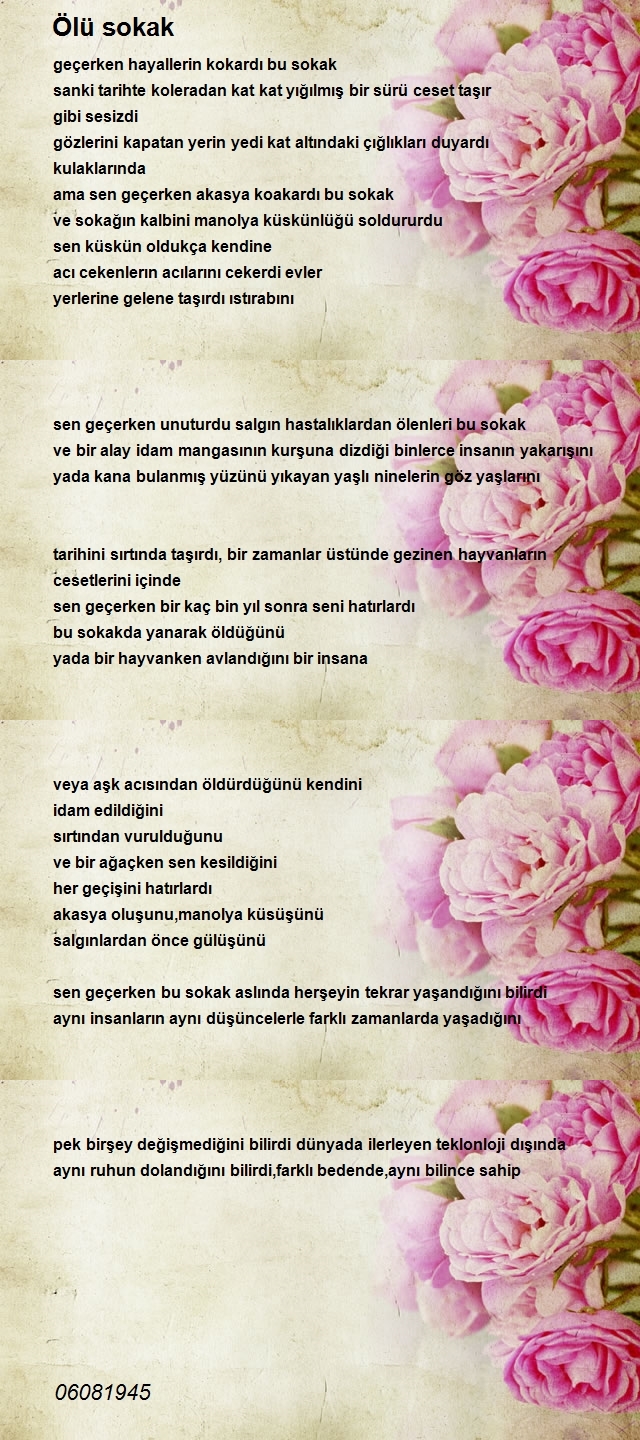 Şair 06081945