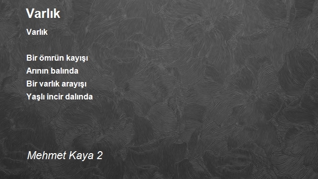 Mehmet Kaya 2