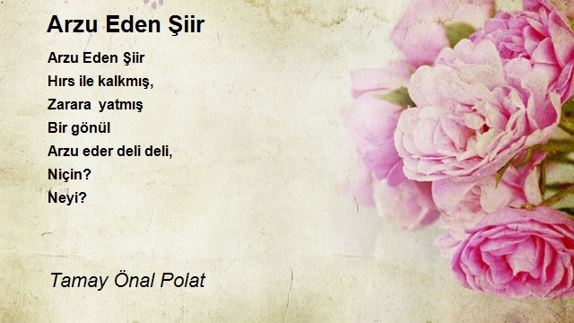 Tamay Önal Polat