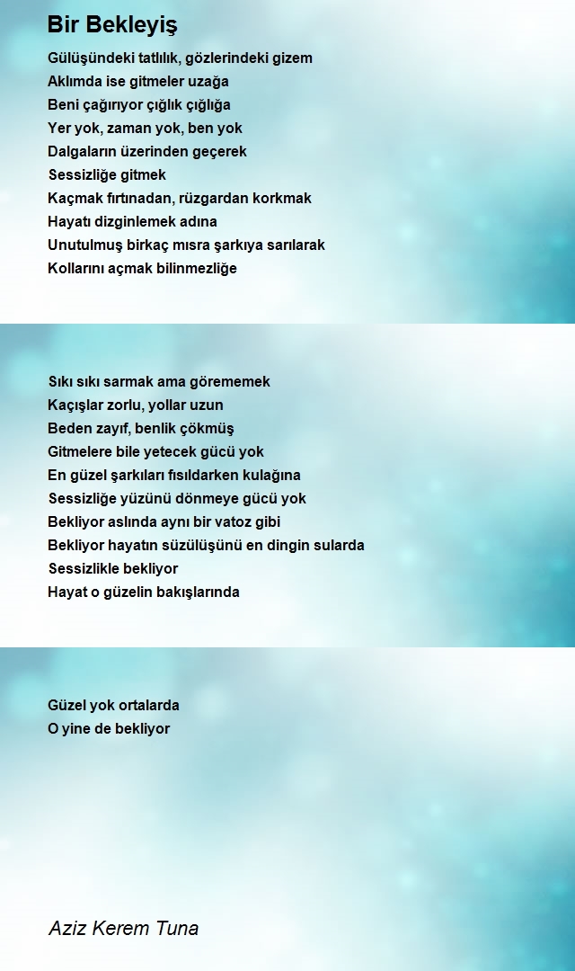 Aziz Kerem Tuna