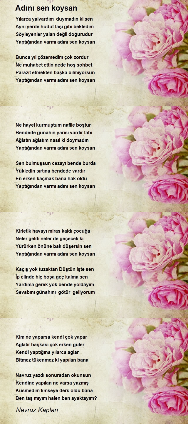 Navruz Kaplan